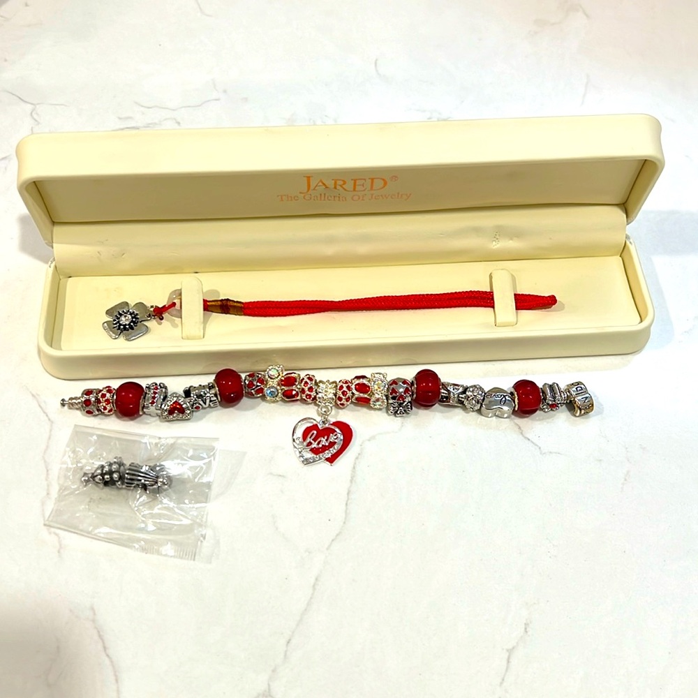 Pandora bracelet with multiple charms!